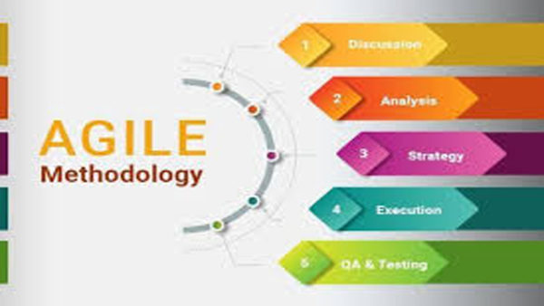 Agile Methodology: The Complete Guide to Understanding